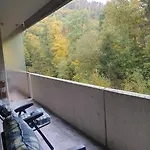 Appartement Comfortzone Im Harz Mit Sauna Und Pool *