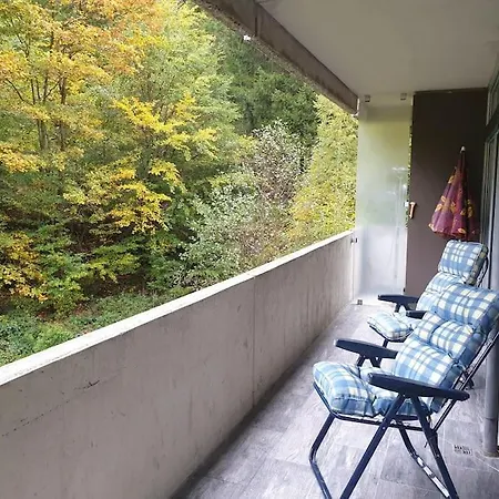 Appartement Comfortzone Im Harz Mit Sauna Und Pool