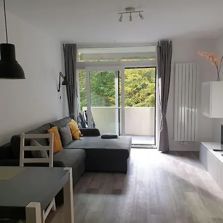 Lejlighed Appartement Comfortzone Im Harz Mit Sauna Und Pool Bad Harzburg