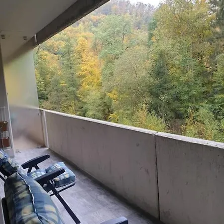 Appartement Comfortzone Im Harz Mit Sauna Und Pool *