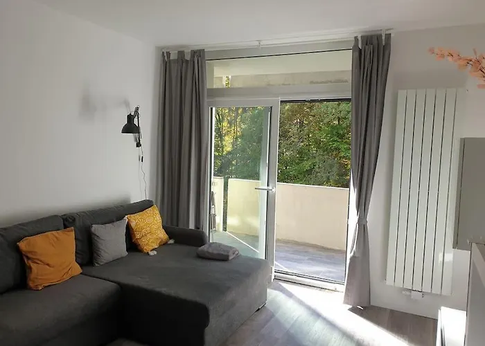Appartement Comfortzone Im Harz Mit Sauna Und Pool *