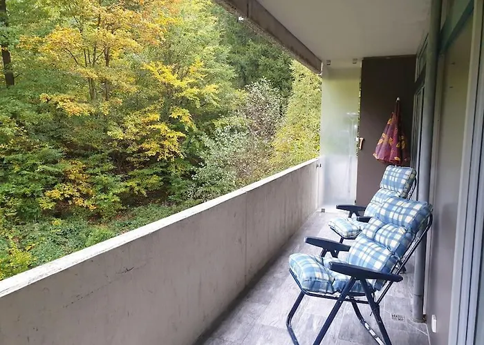 Appartement Comfortzone Im Harz Mit Sauna Und Pool
