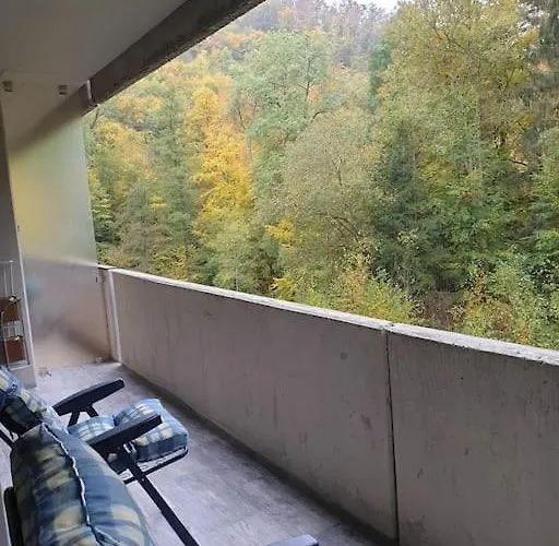 Appartement Comfortzone Im Harz Mit Sauna Und Pool *